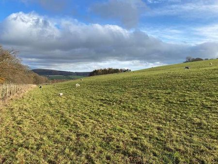 Lauder, TD2 - Photo 4