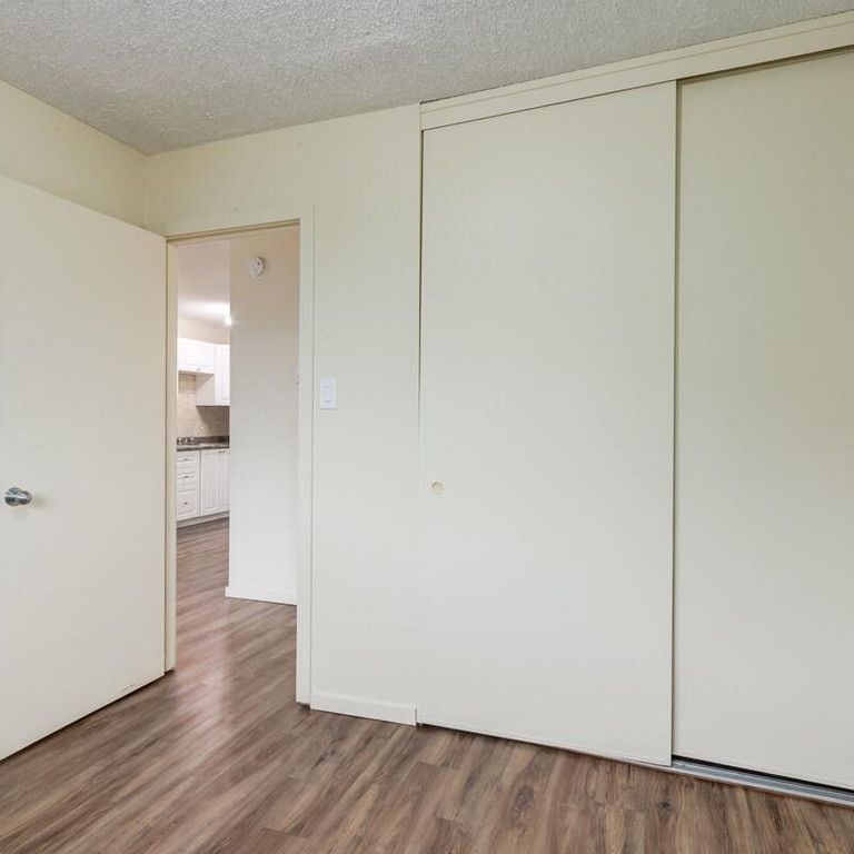 Renovated Suite - 1 Bedroom - Photo 1