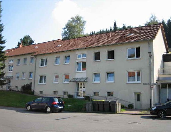 3 Zimmer Wohnung mit Balkon in Plettenberg - Photo 1