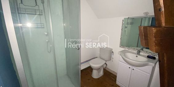 Location Appartement 1 pièce 42m² - Photo 3