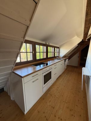 Loftartige Dachwohnung in Arlesheim - Photo 1