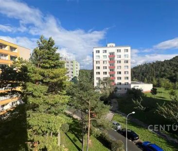 Pronájem zařízeného bytu 2+1 se zasklenou lodžií, Brno-Bystrc, ul. ... - Photo 3