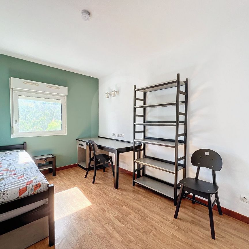 Location Appartement 1 pièce 17m² MONTPELLIER 34000 - Photo 1