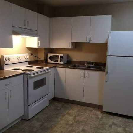 Surrey Upper floor 2bed suite for rent (near King George SkyTrain) - Photo 4