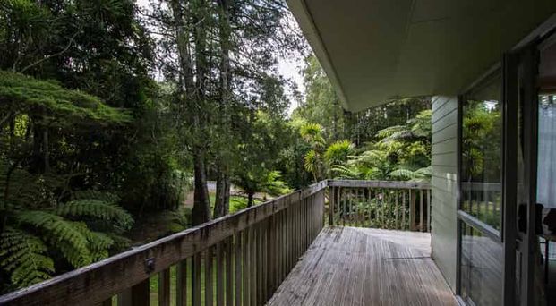 Tucked Away Treasure in a Peaceful Setting - Photo 1