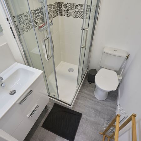 LEDRU ROLLIN Roommate 5 Bedrooms at Lille - Photo 4
