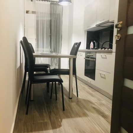 Apartament cu o camera recent renovat in zona Blascovici - Fotografie 3