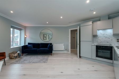 The Sweepstakes Ballsbridge , Ballsbridge, Dublin 4 - Photo 4