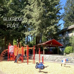 Blueridge Apartments - Photo 2