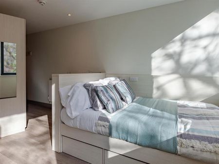 Studio to rent - Photo 5