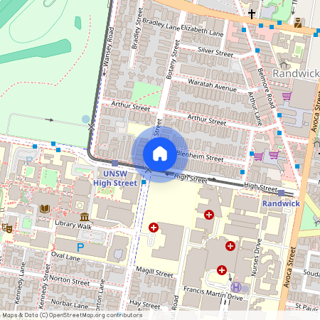 45 Botany Street, Sydney, New South Wales 2031