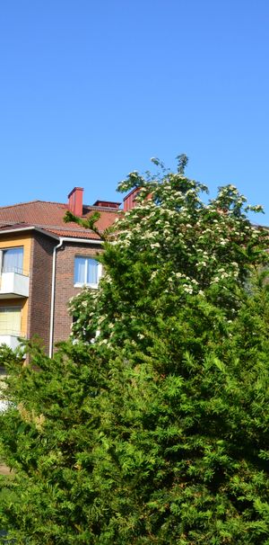Duvgatan 43 - Photo 1