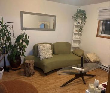 Grand 3 1/2 tout inclus – Rosemont (1 chambre) – 1 200 $ - Photo 3