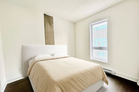 Appartement à louer, Montréal (Le Plateau-Mont-Royal) - Photo 4