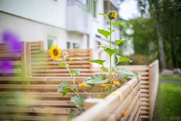 Rönngatan 7 B - Foto 1