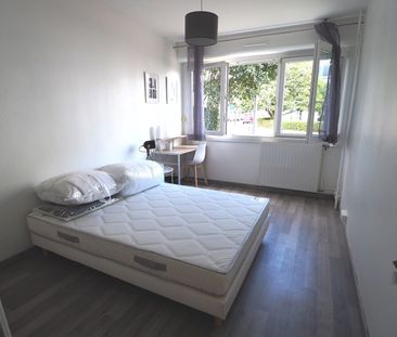 Chambre en colocation - rue Guillaume Apollinaire - Location Appart... - Photo 3