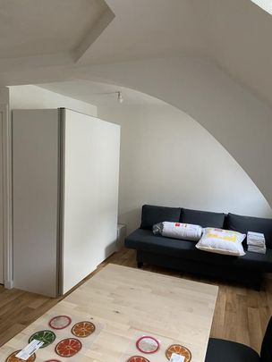 Location Appartement 1 pièce Meublé 26m² ANGERS 49100 - Photo 1
