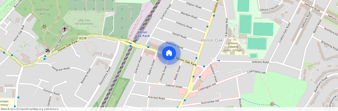 Lessing Street, Honor Oak