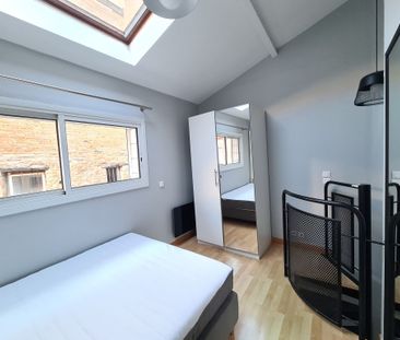 SAINT-ETIENNE, T1bis MEUBLE 20,87 m² - Photo 3