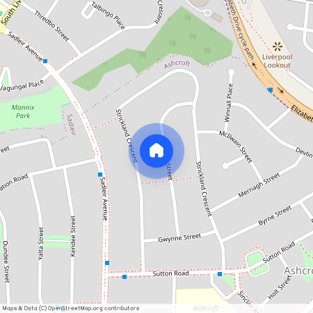 29 Parsons Street, NSW 2168, Ashcroft