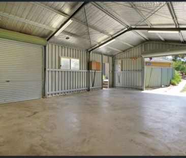 3 Budginigi Place, Thurgoona NSW 2640 - House For Rent | Domain - Photo 6