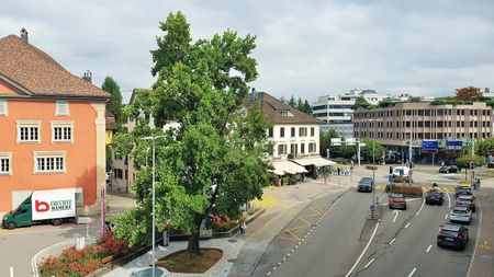 CENTRAL AND LIGHT-FLOODED WITH BALCONY - Foto 5