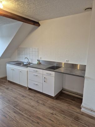 Location Appartement 2 pièces 48m² HAZEBROUCK 59190 - Photo 1