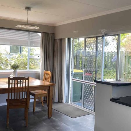 Gisborne Tce - Opunake - Photo 3