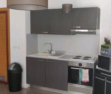 Location Appartement 2 pièces 46m² MOUSSY LE NEUF 77230 - Photo 3