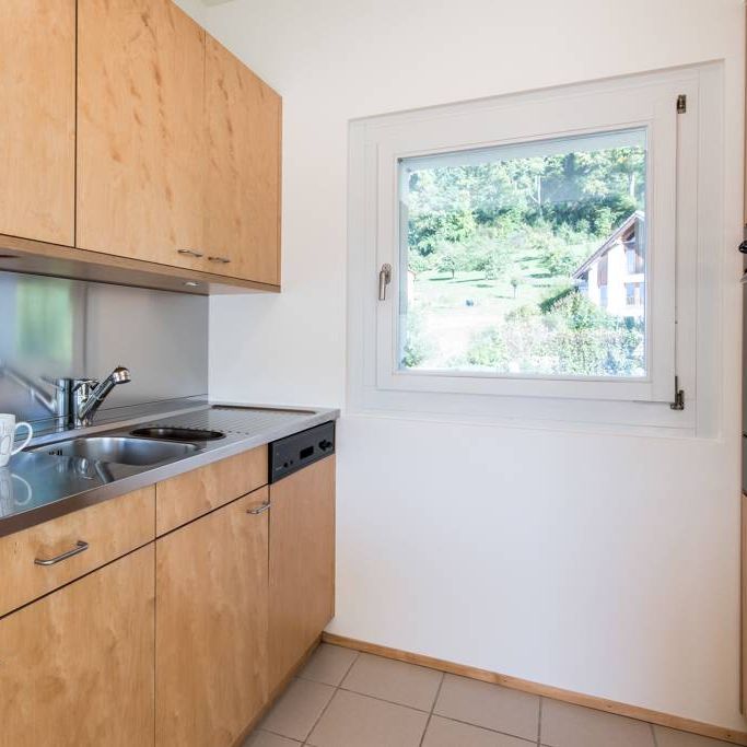 3.5 Zimmer, 75 m², EG - Foto 1