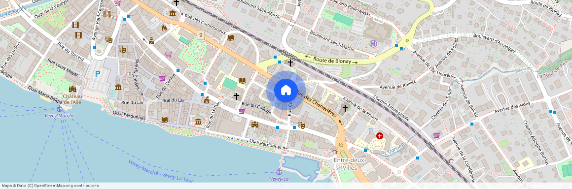 Rue des Chenevières 11, 1800 Vevey