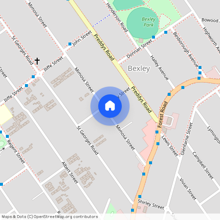 19 Downey Street, Bexley NSW 2207