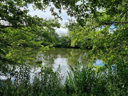 Sjukhemsvägen 11, Anderslöv - Foto 5