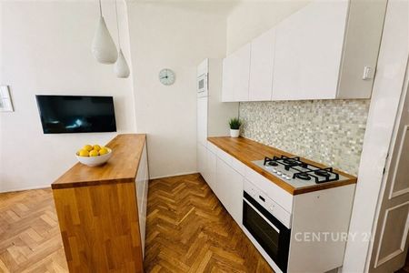 Pronájem bytu 4+kk na ulici Sušilova, BrnoVeveří - Fotografie 5