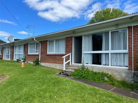 Freshly Renovated, includes Water and Lawns - Photo 2