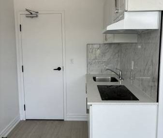 Condo/bachelor apartment in Toronto - Photo 4