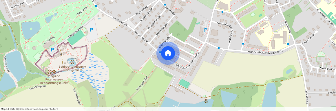 Professor-Willkomm-Str. 1b, 09212 Sachsen - Limbach-Oberfrohna