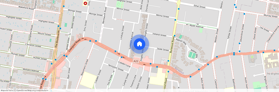 33A Angelo Street, Burwood