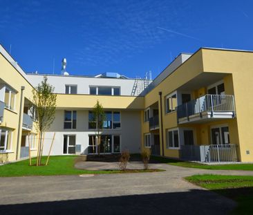 Betreutes Wohnen in St. Valentin – schöne 2 Zimmerwohnung mit Loggia - Foto 2