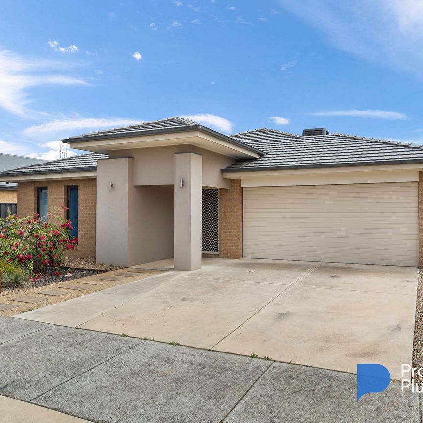 "Family Oasis" - Photo 1