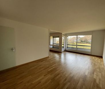 2.5 Zimmer, 73 m², 1. Stock - Photo 4