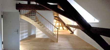 Historic charm meets modern living - 21/2-room gallery apartment at Stein AG station - Foto 5