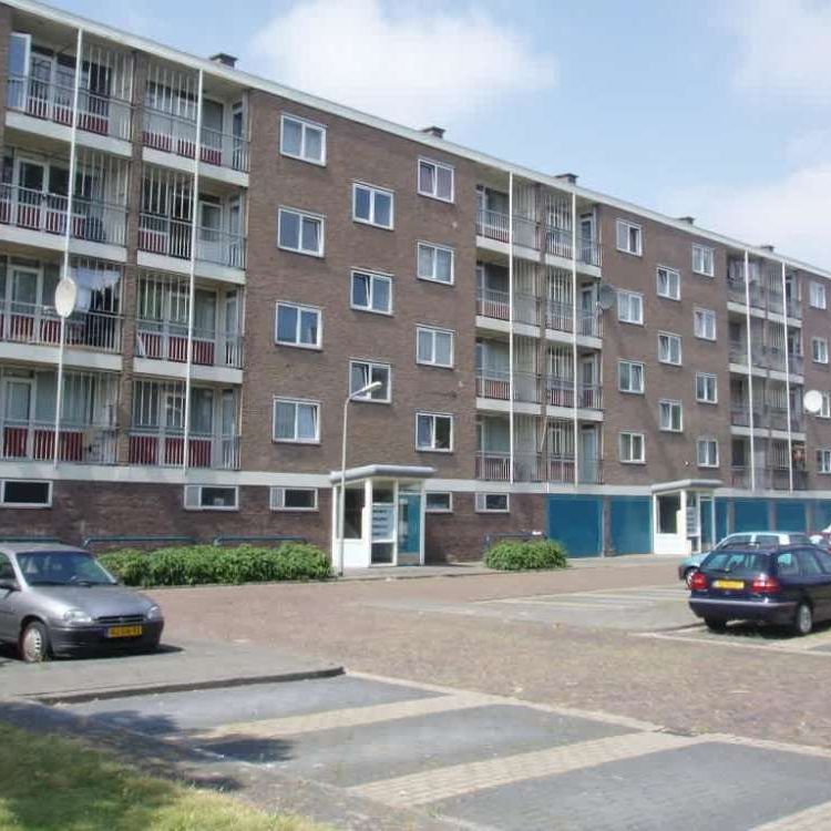 van Maasdijkstraat 74 - Photo 2