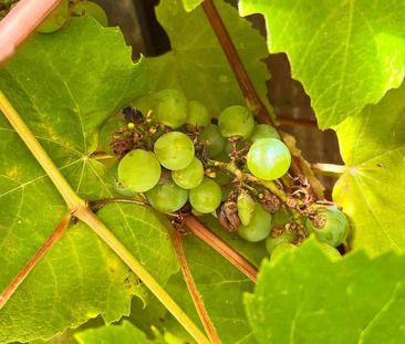 Charming 2-Bed Eastbourne Flat, Beachside Bliss - Photo 4