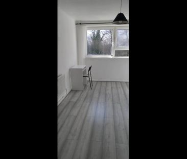 Room in a Shared Flat, Richmond Hill, LU2 - Photo 5