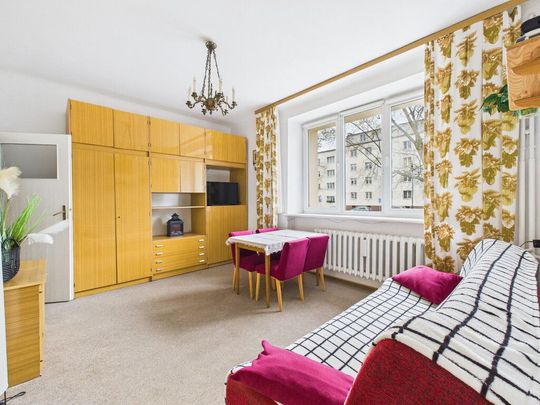 przytulne obok pl Wilsona - Photo 1