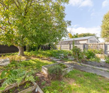 Gorgeous Standalone Cottage in New Brighton! - Photo 6