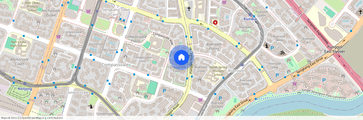 230 Compassvale Walk (540230), Singapore