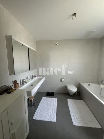 3.5 Zimmer, 80 m², EG - Foto 4