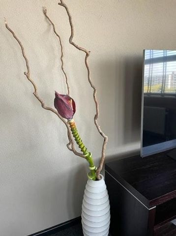 Appartement te huur: Winkelcentrum Woensel 150 5625 AG Eindhoven - Photo 5